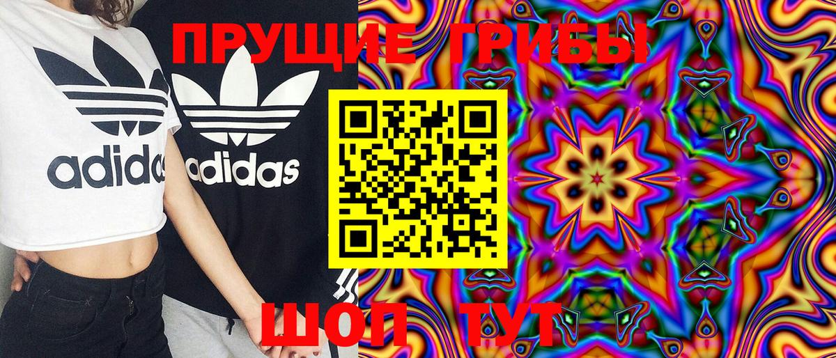 Псилоцибиновые грибы GOLDEN TEACHER  Вход с VPN  Ноябрьск 